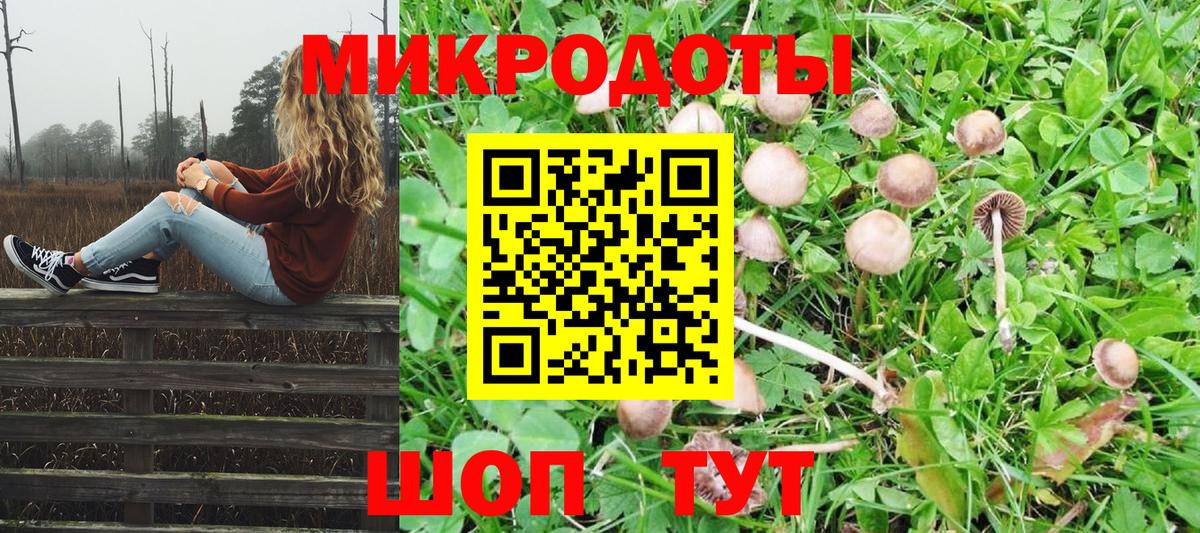 Псилоцибиновые грибы GOLDEN TEACHER  Псилоцибиновые грибы мицелий  Вход с VPN  Похвистнево 